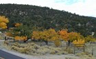 Lehman Orchard in the fall with leaves of green, yellow, and orange colors.