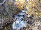 A creek lined with deciduous trees. 