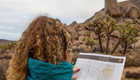 a person looks at a map in Joshua Tree National Park
