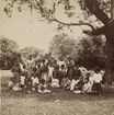 A group of children sit under a live oak tree.
