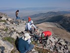 scientists look at plants on rocky mountain top