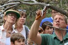 several people looking at a tree branch