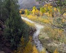 A river with grasses, shrubs, and trees along its banks. The plants are yellow and green.