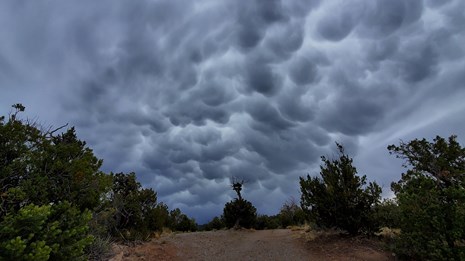 dark cloudy skies above a dirt track with short trees around