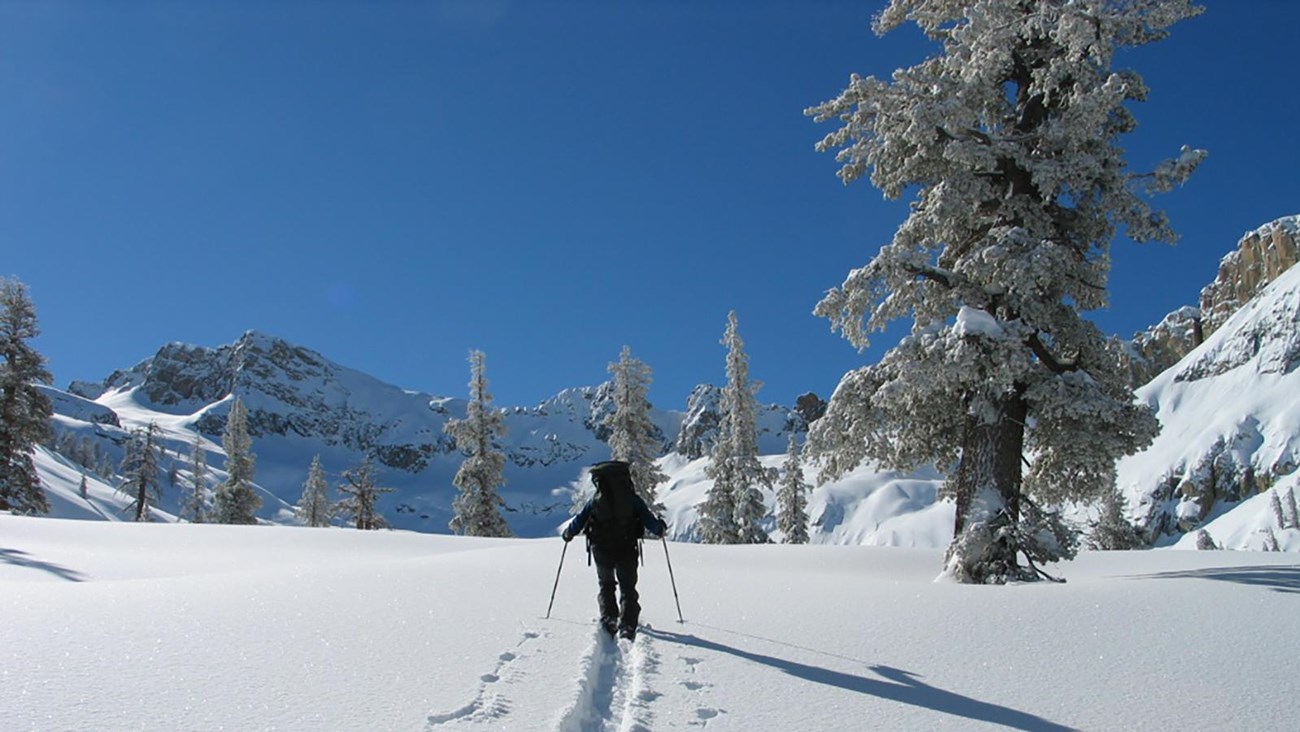 A skier walks down a trail among a snowy landscape.