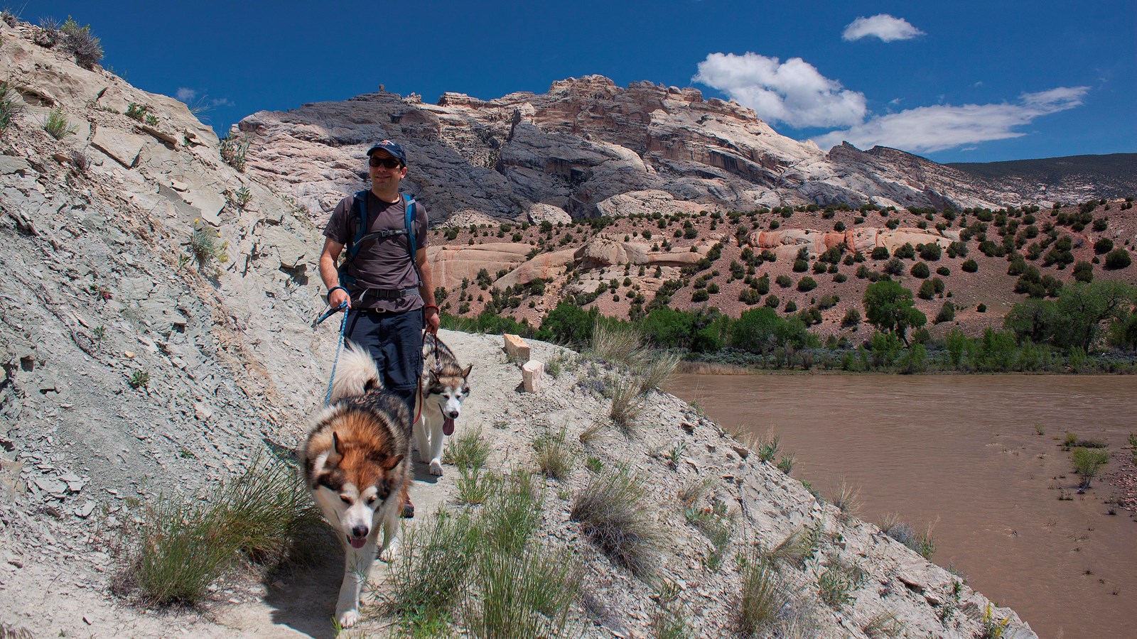 A man hiking with two large Alaskan Malamutes along a riverside trail.