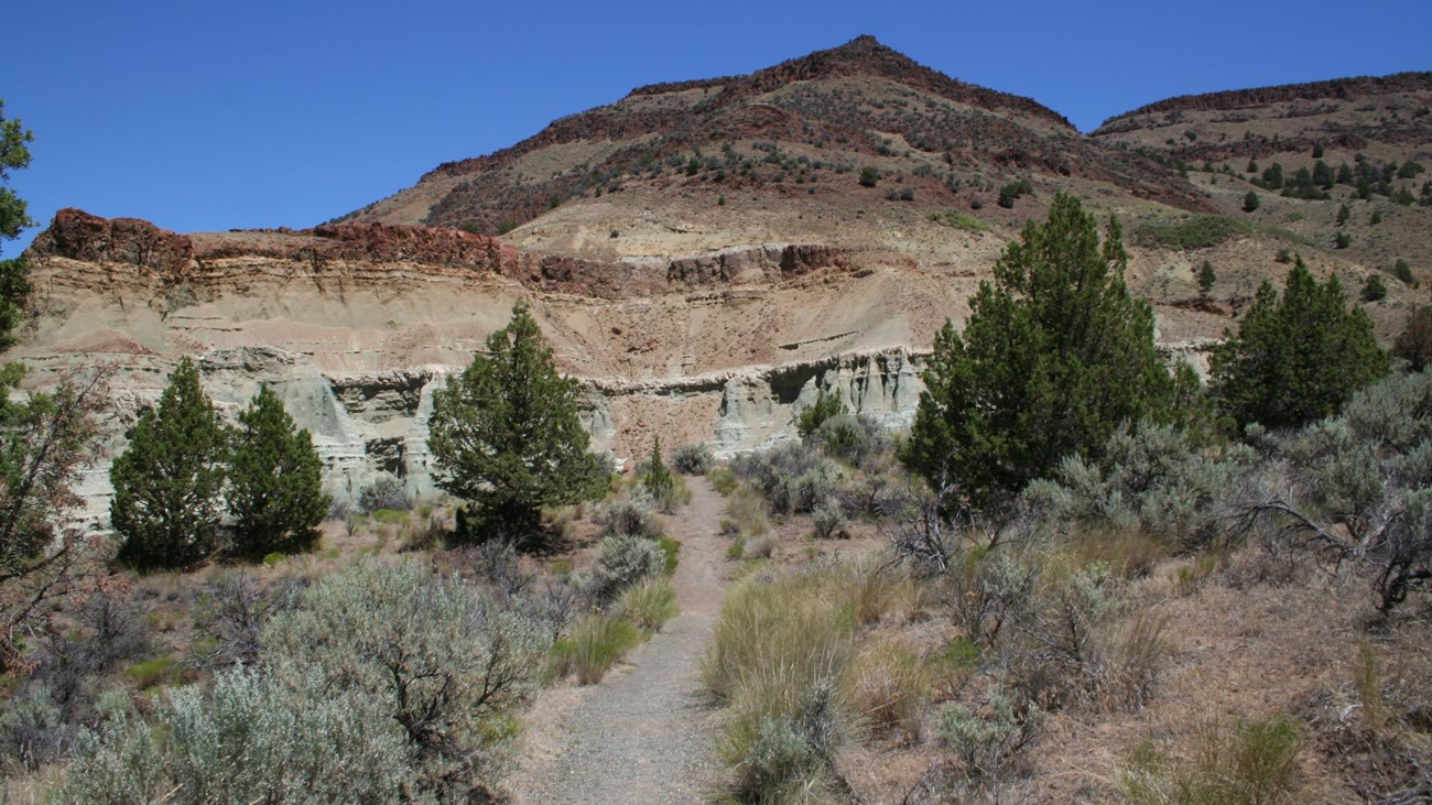 A gravel path with trees and shrubs on both sides leads to a scenic view of blue-green formations