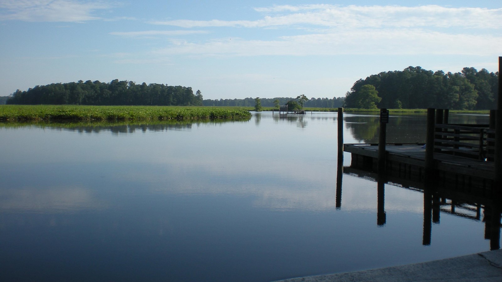A dock overlooking a river with trees and marsh grass in the distance. 
