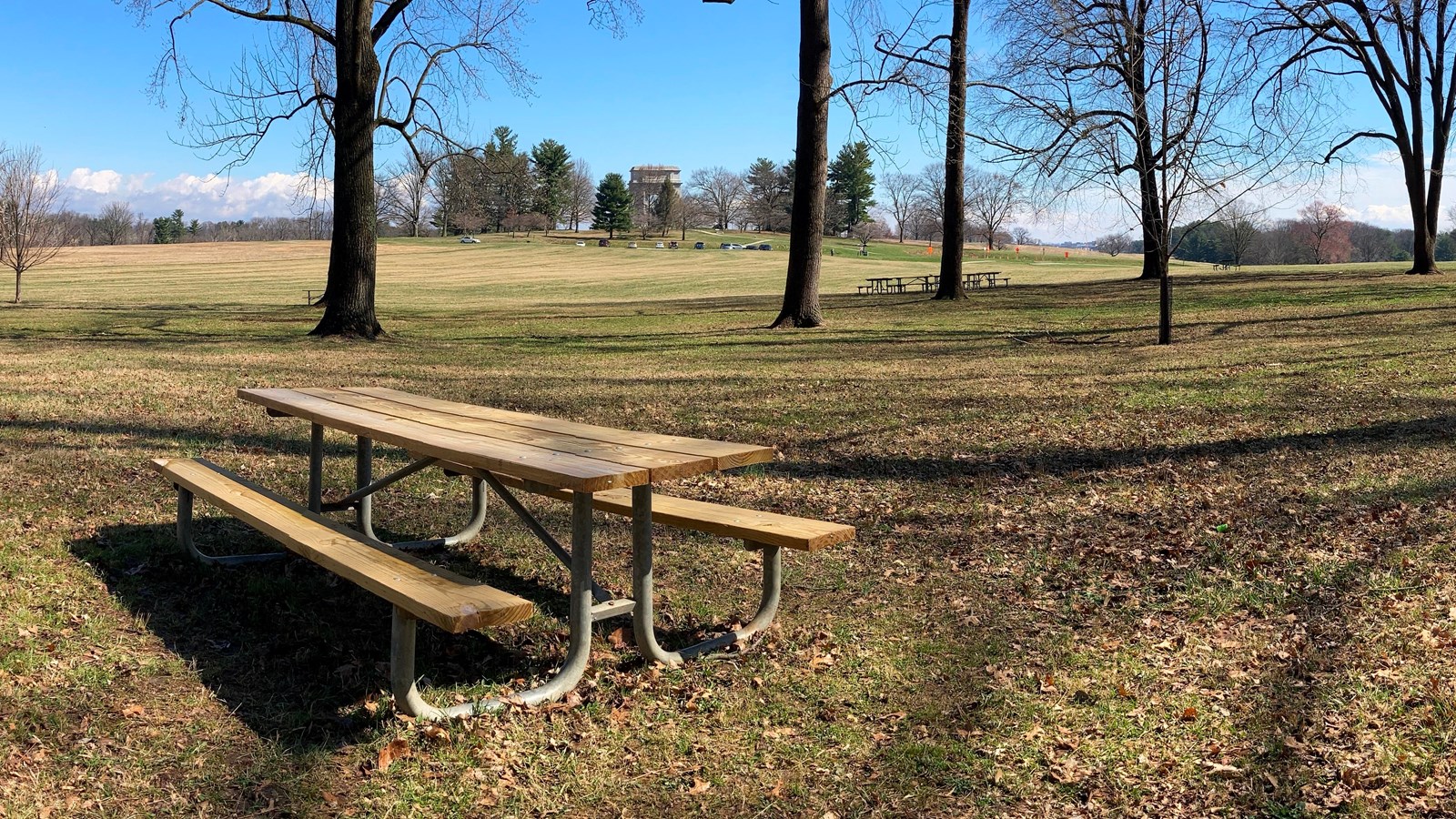 a wooden picnic table surrounded by trees
