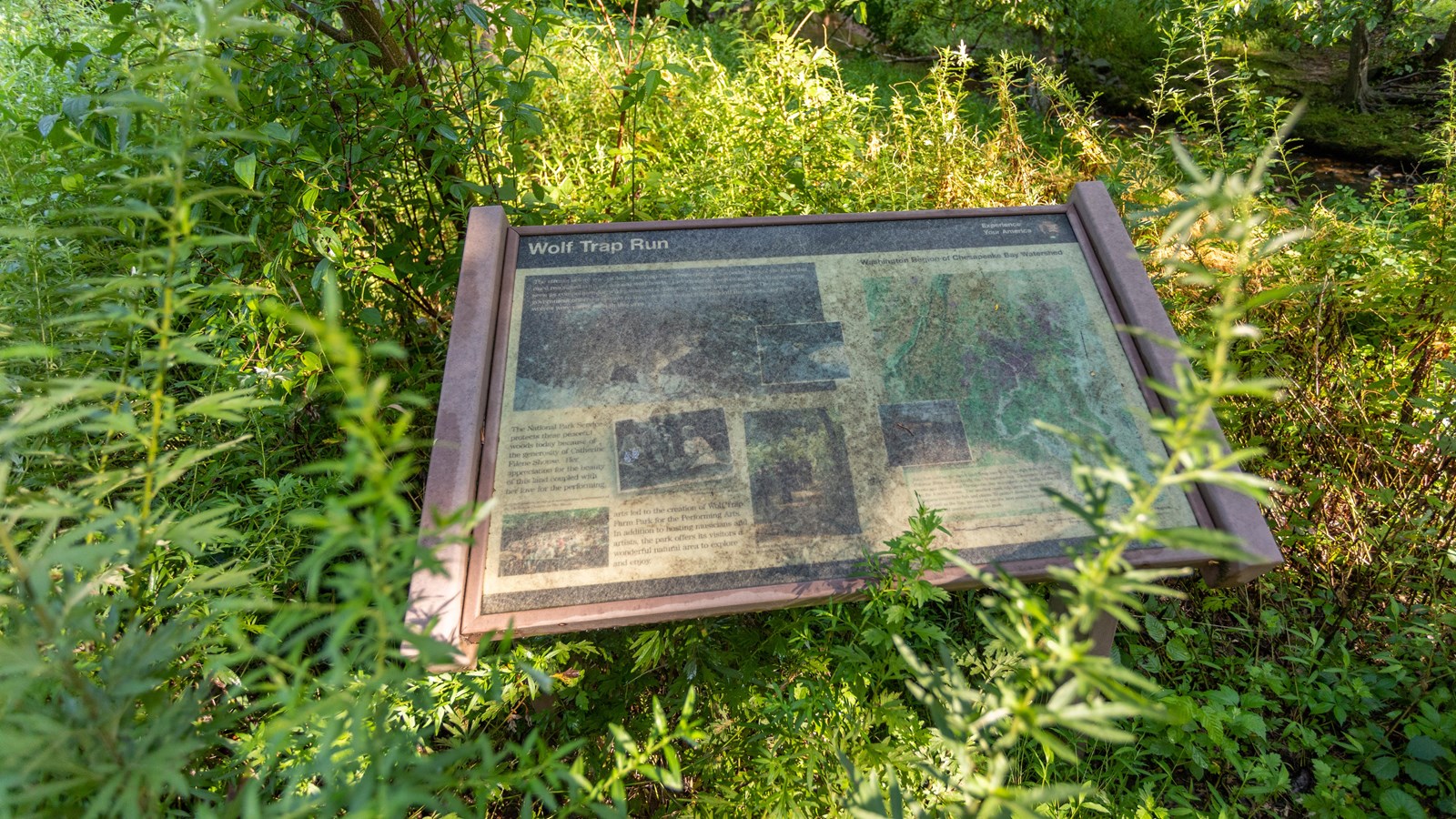 Information panel surrounded by greenery.