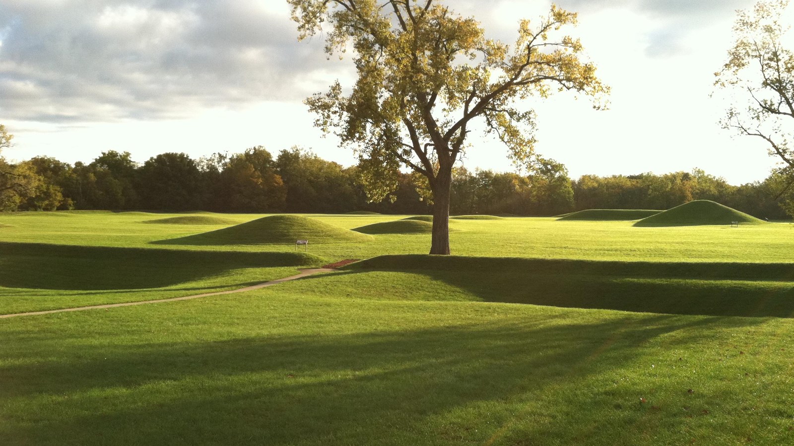 Several green, grass-covered earthen mounds behind a tall tree in the foreground