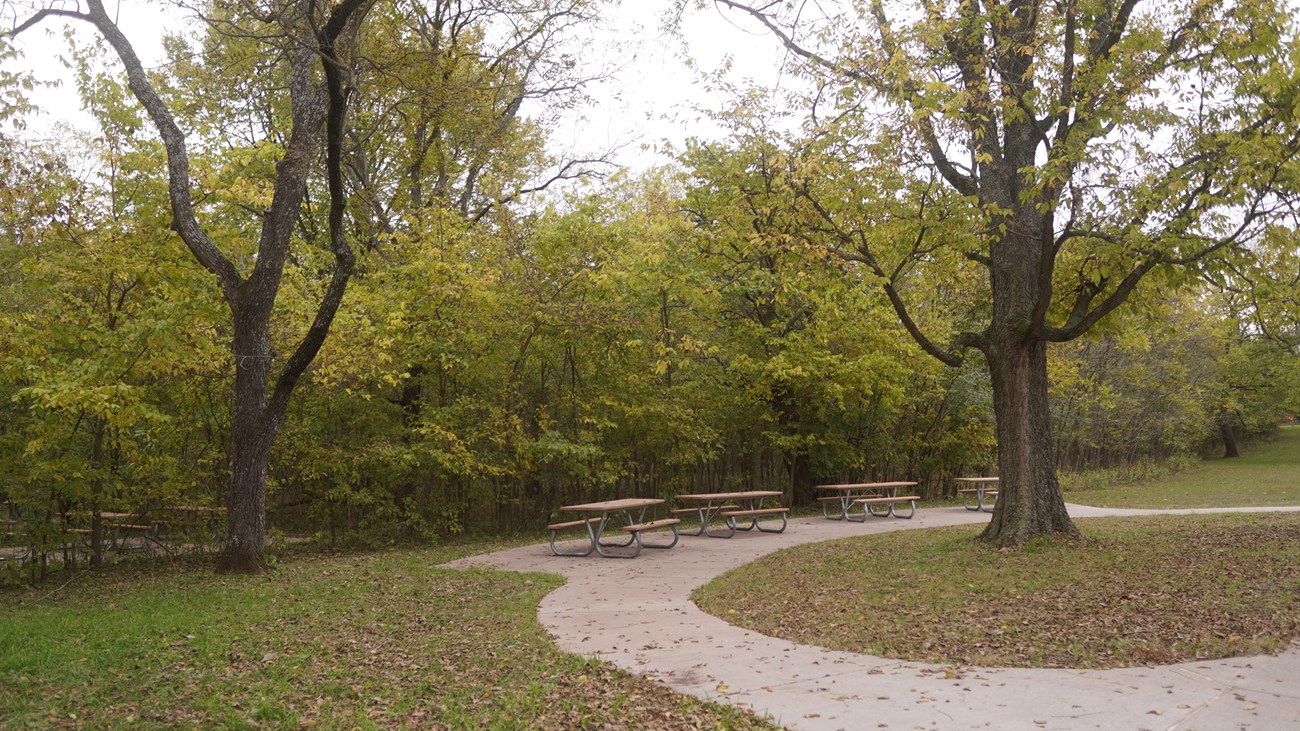 Three picnic table near a walking trail.