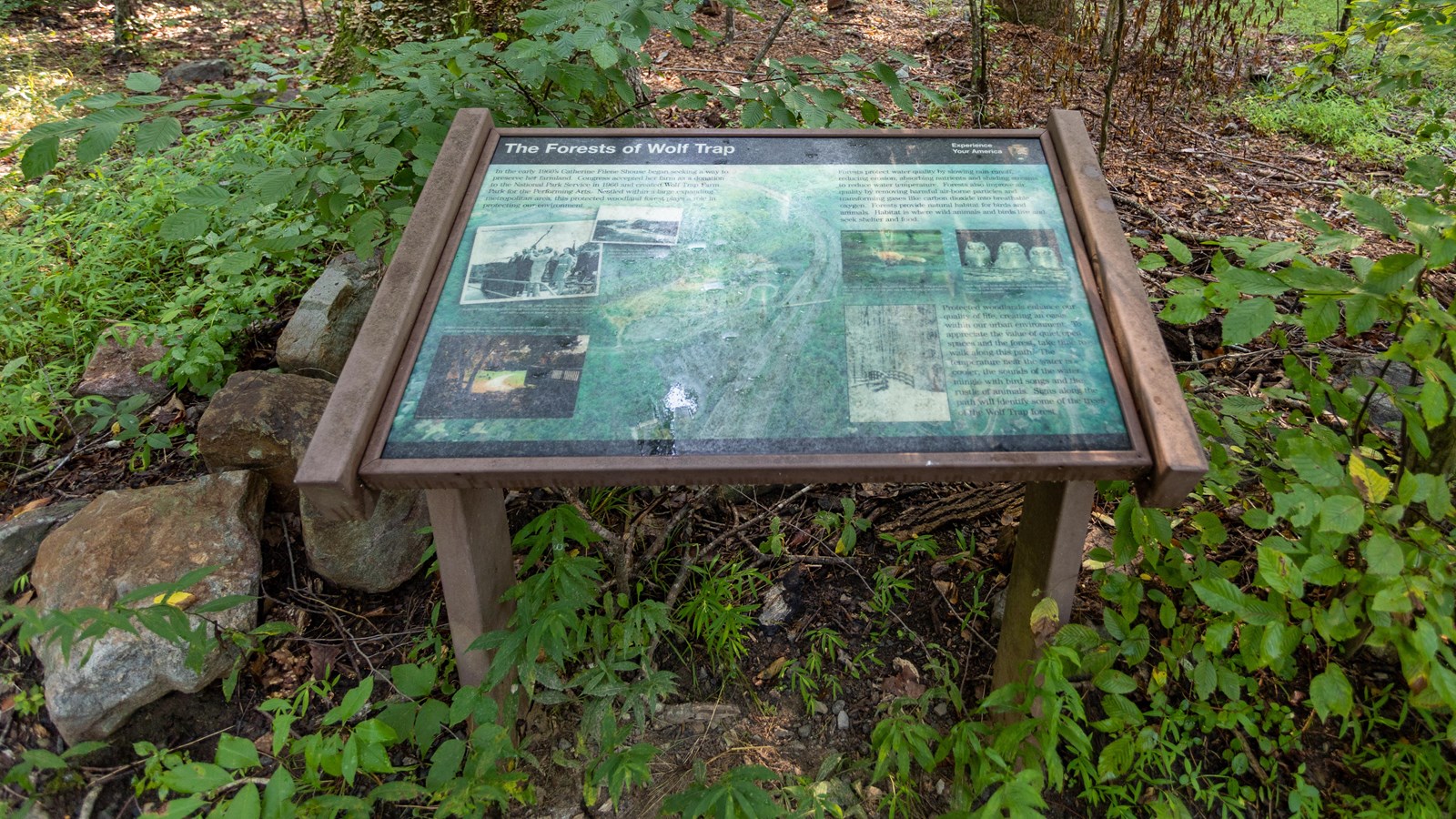 Information panel off the pathway with rocks beside.