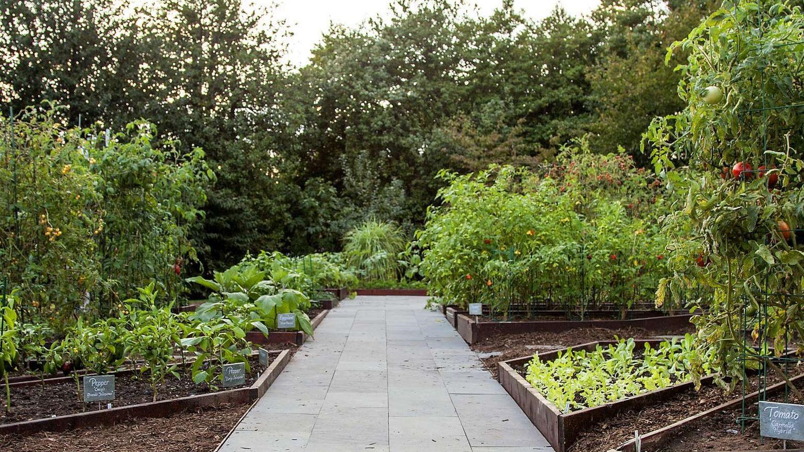 The walkway going through the White House Kitchen Garden.