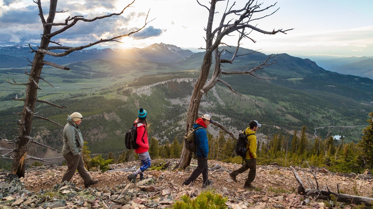 Four people hike across a talus slope with the sun setting behind a mountain in the distance.