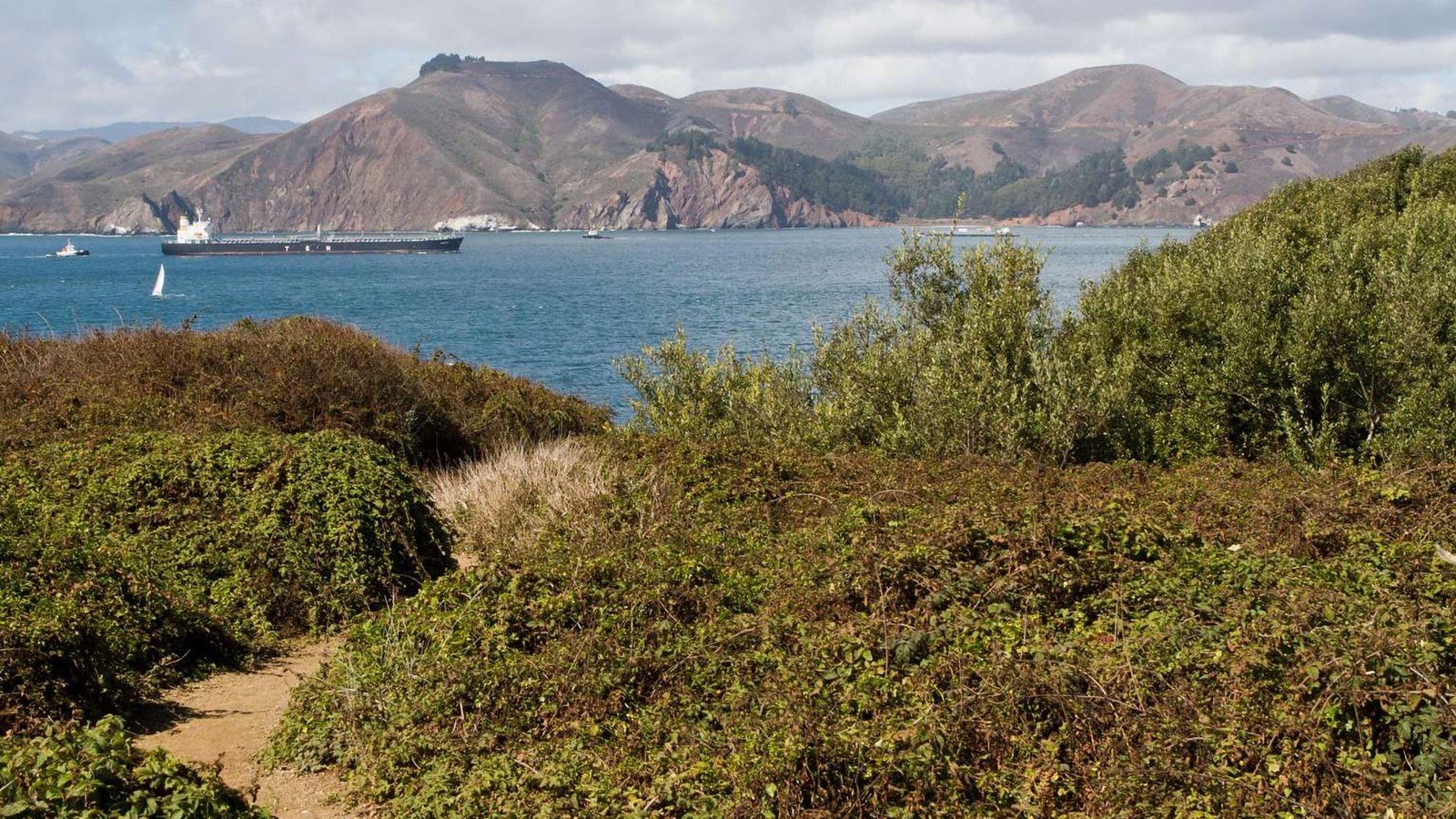 he Batteries to Bluffs trail winds through California blackberry and willow stands