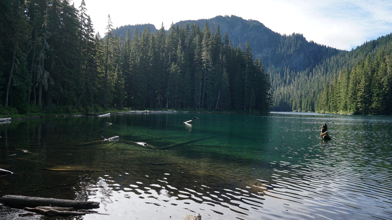 A blue-green lake surrounded by forested mountain slopes. 