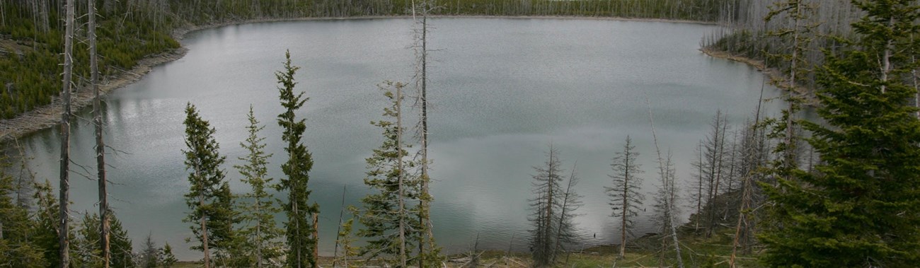 A small lake surrounded by conifer forest.