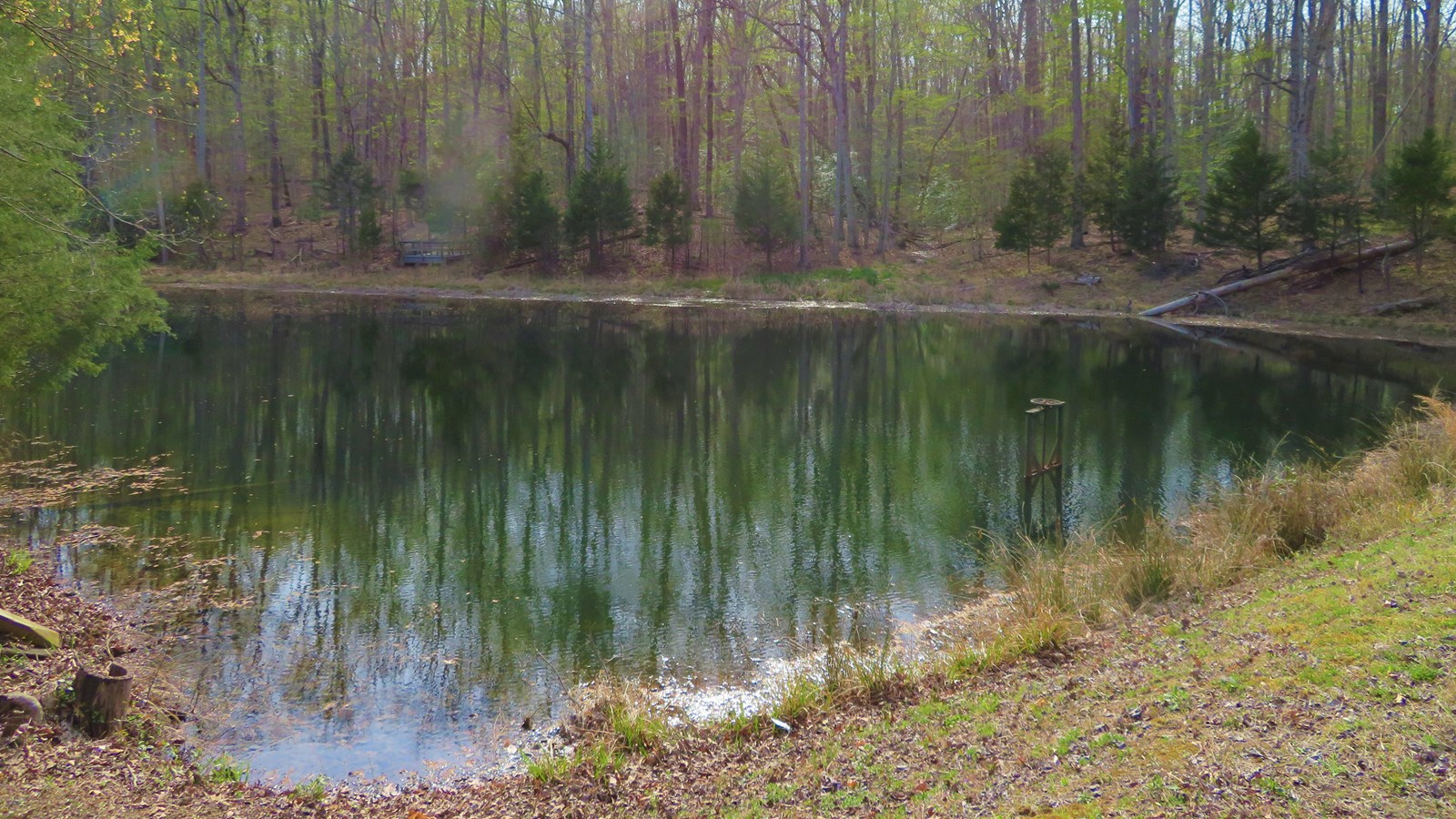 Carters Pond Wildlife Viewing Trail