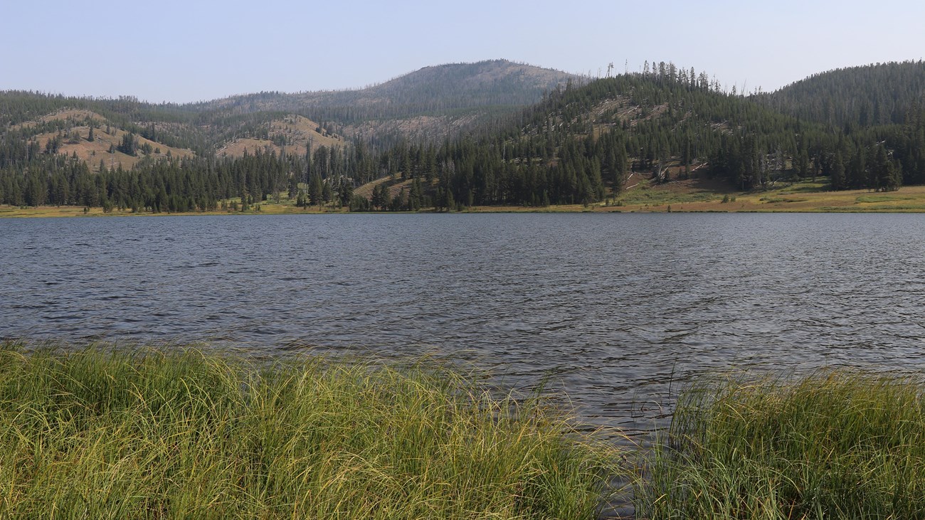A lake in a meadow at the base of forested slopes.