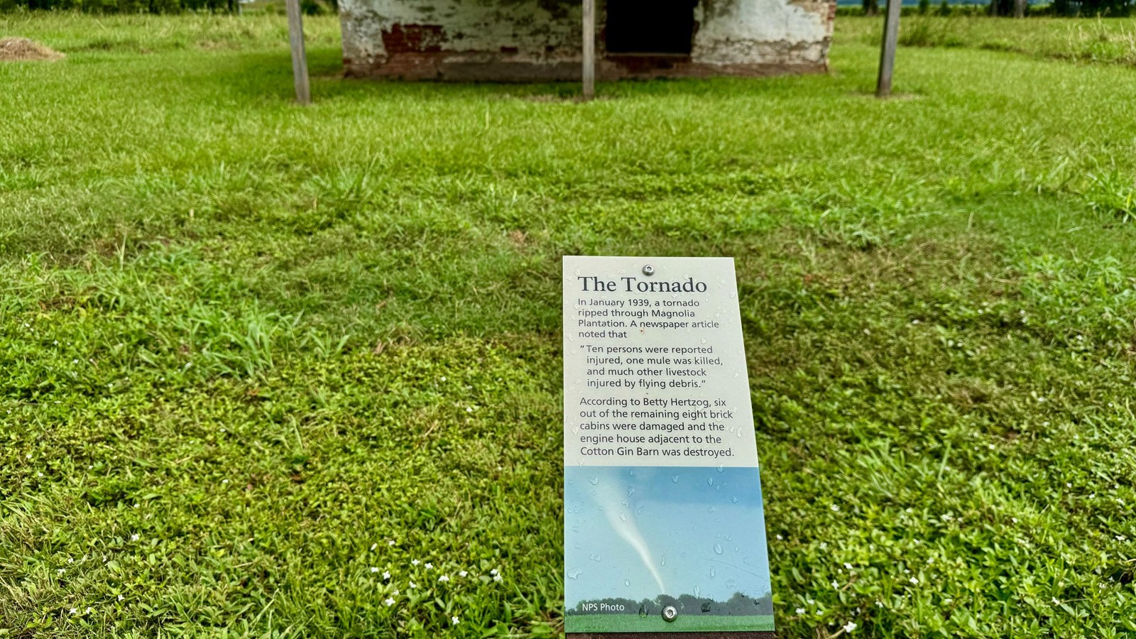 Tornado wreaks havoc on Magnola Plantation