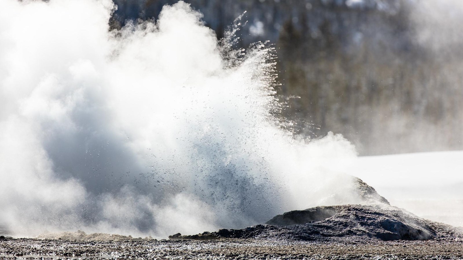 Water splashes out of a small geyser cone.