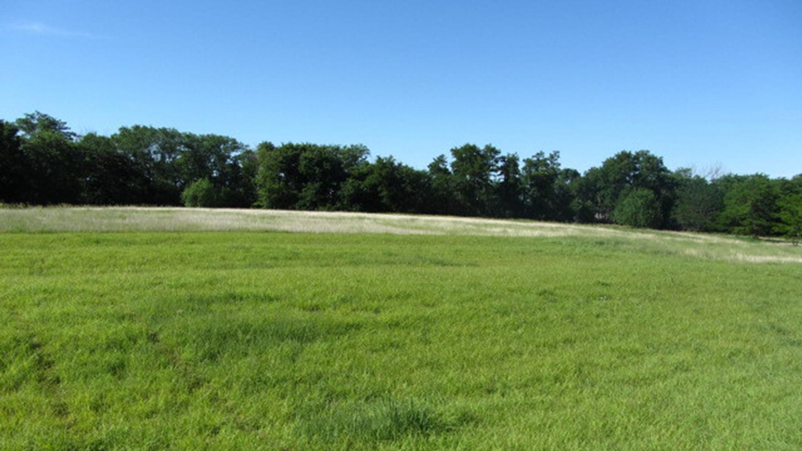 Grassy field with depressions 