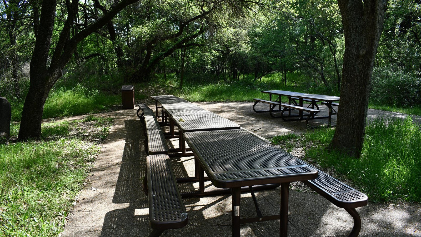 Sunlight filters through a wooded area onto a set of rustic picnic tables.