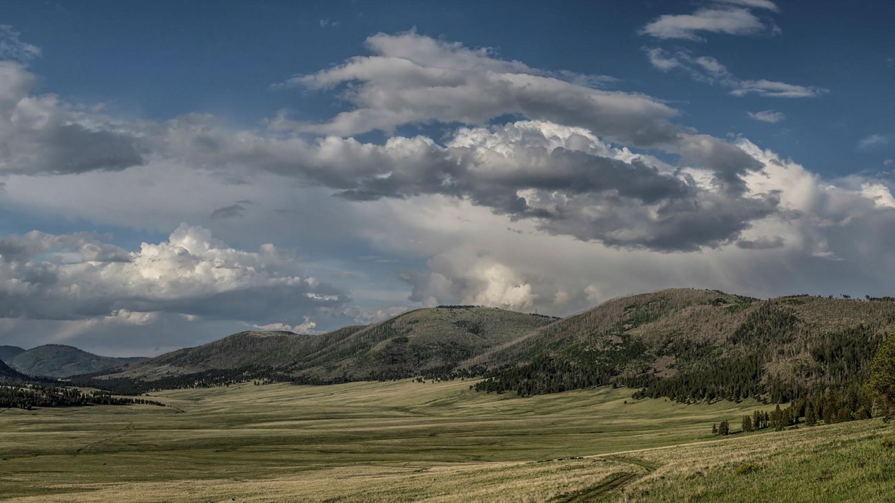 A sweeping montane grassland with forested hills in the background.