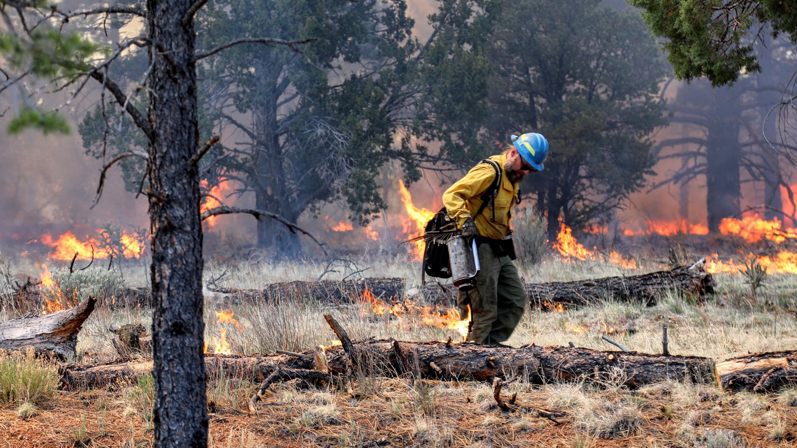 A wildland firefighter walks through a smoky forest with a small wildfire burning in the background