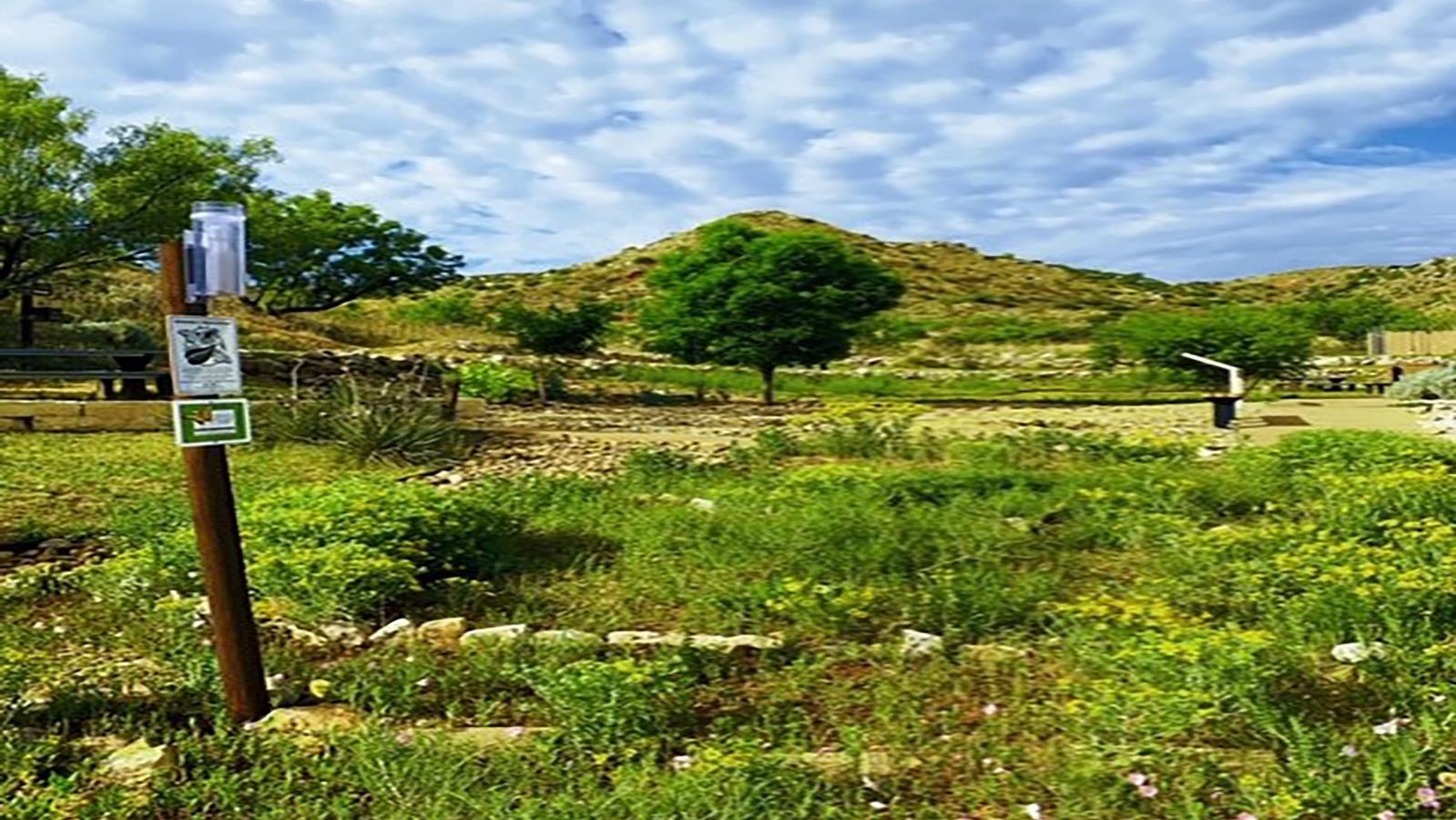 Monarch Butterfly Garden with a certified waystaion with wildflowers and plants. 
