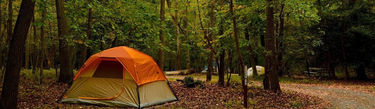 Tent camping at Greenbelt Park.