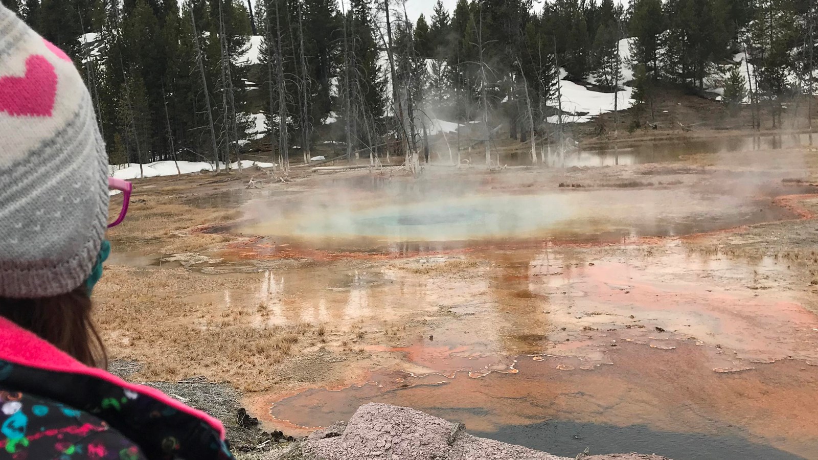 A child looks out across a field of thermal waters and thermophiles.