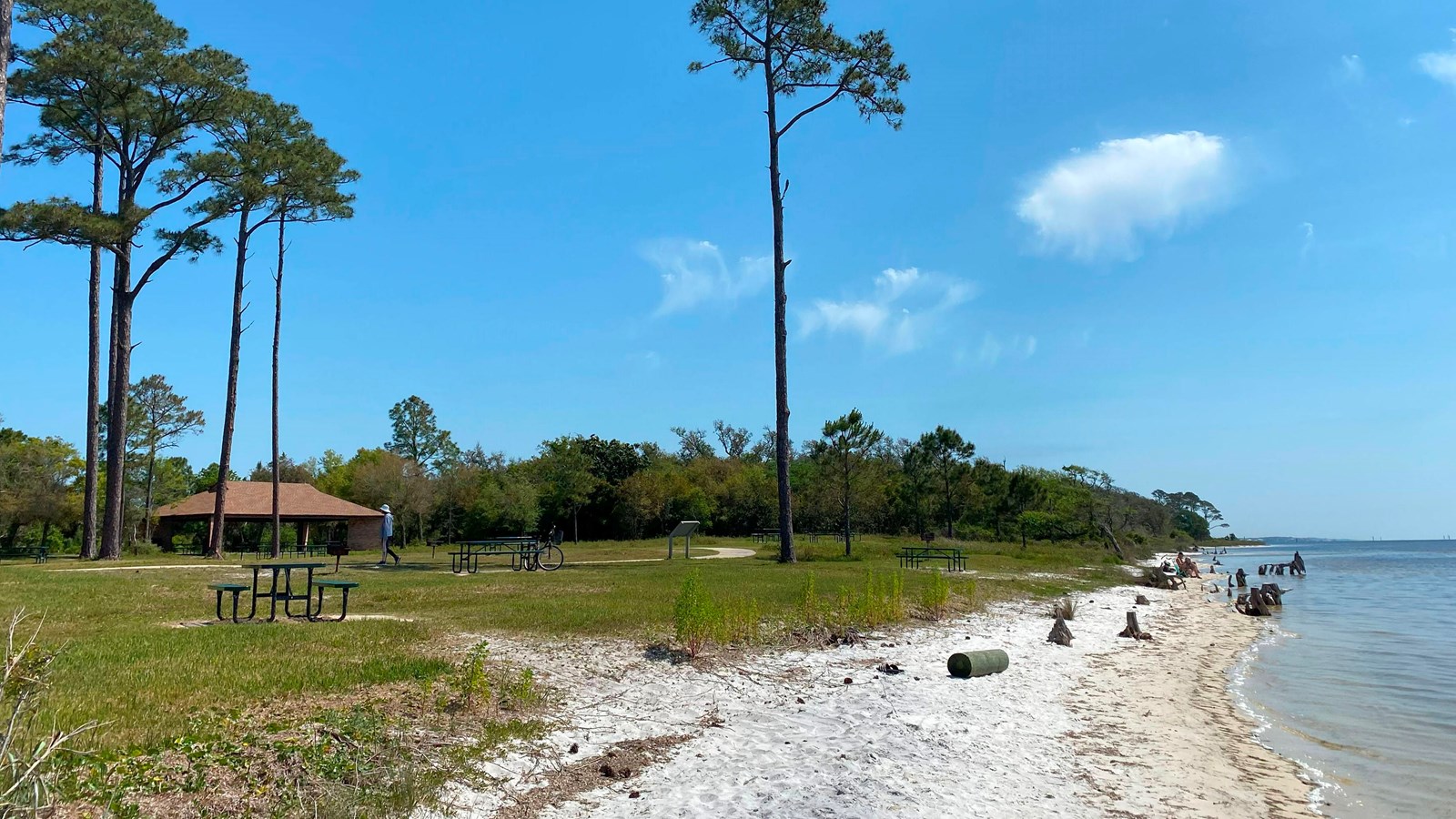 Pavilion and picnic tables
