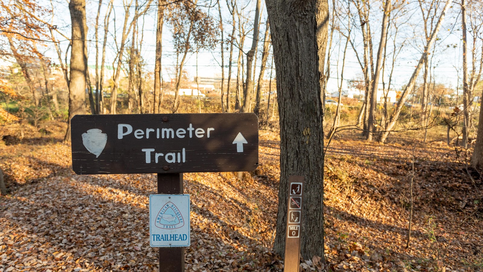 A sign with the words Perimeter Trail pointing to a trail in the woods
