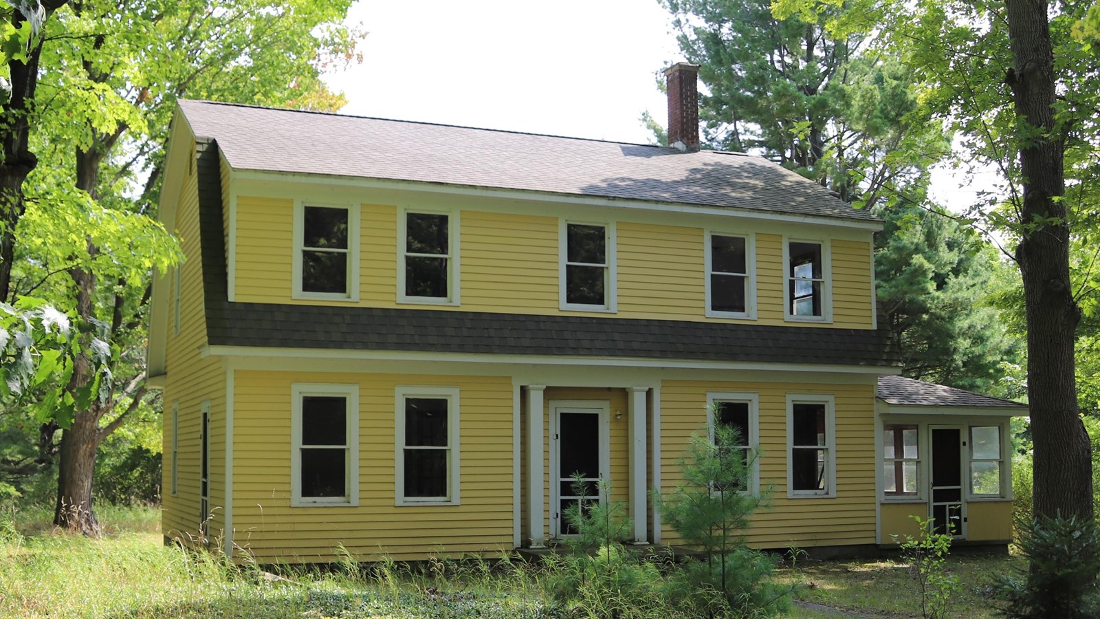 A bright yellow two-story house with white trim greets you amongst tall oak and maple trees.