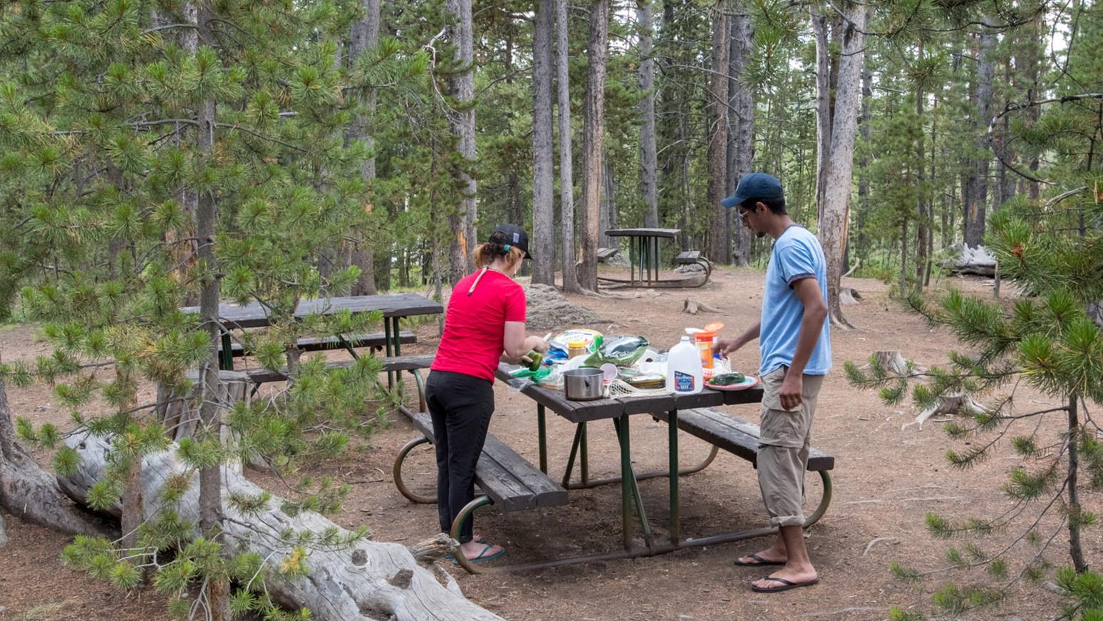 Couple picnicking in wooded area