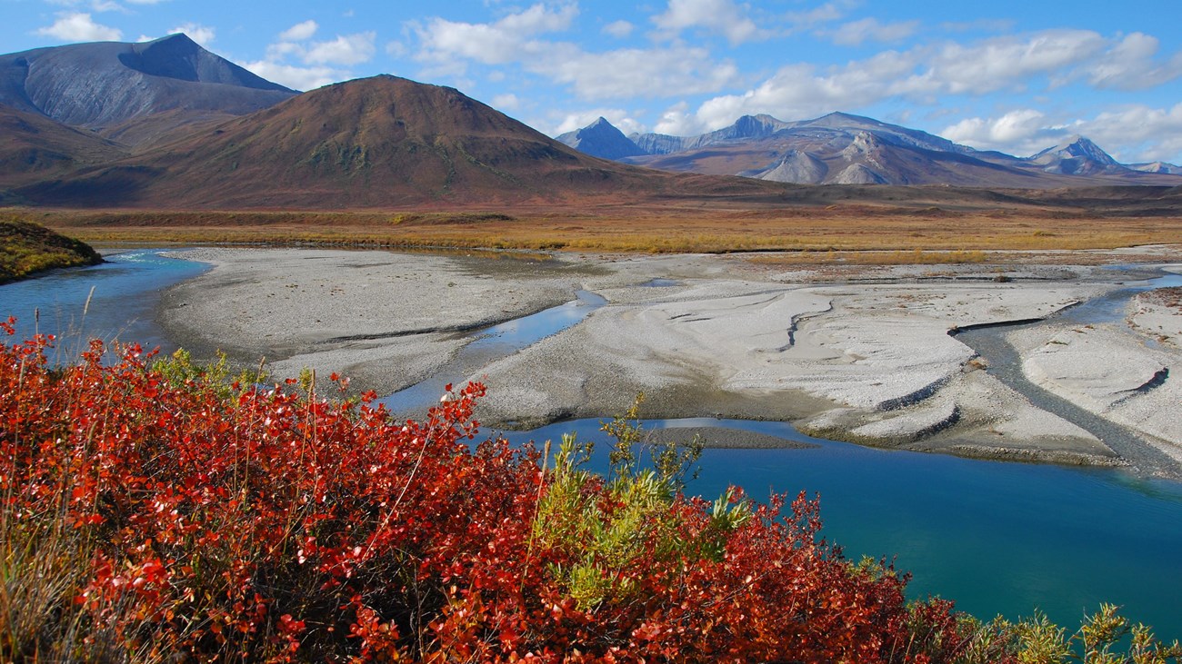 Fall colors ablaze around the Noatak River