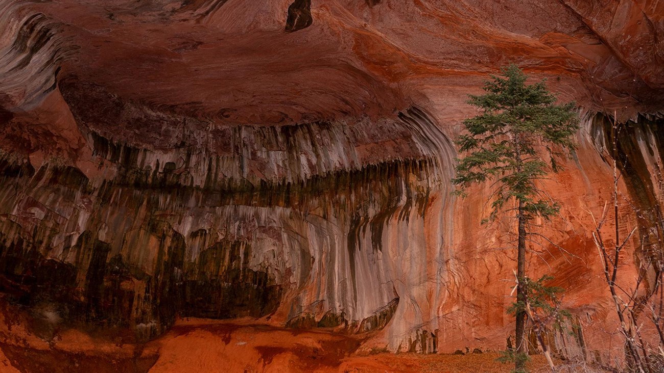 Red sandstone cliff face with an alcove at the bottom and an arch above. 