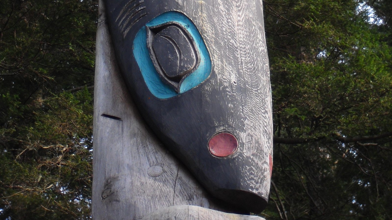 Close up of the Shark on the Raven- Shark Pole