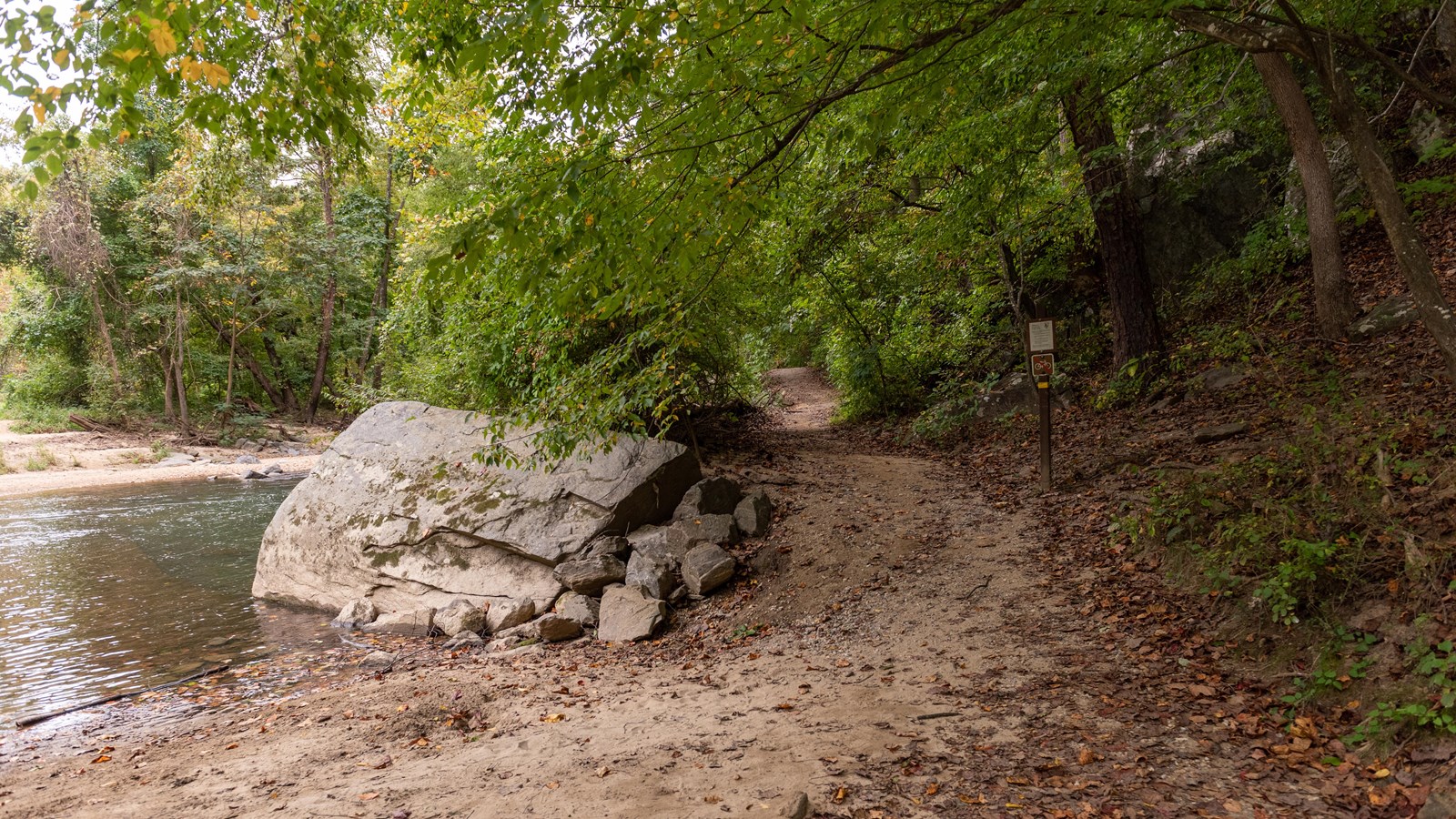 A sandy embankment next to a river on the left and a forest on the right. 