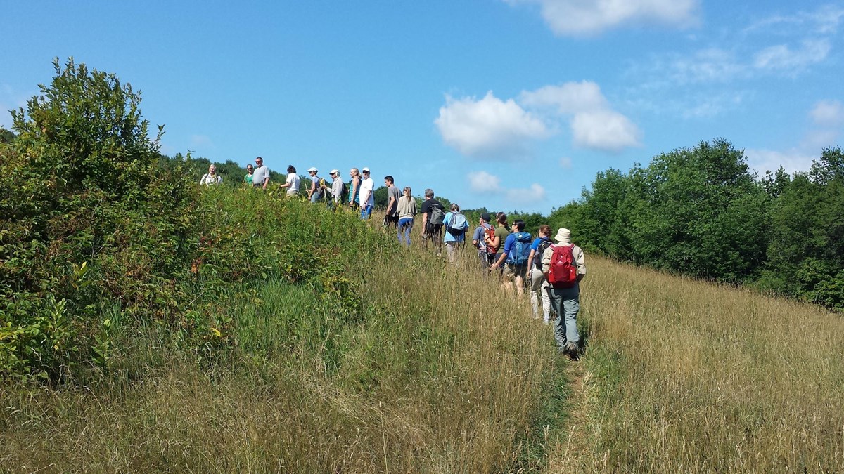 group of hikers walking single file through a meadow