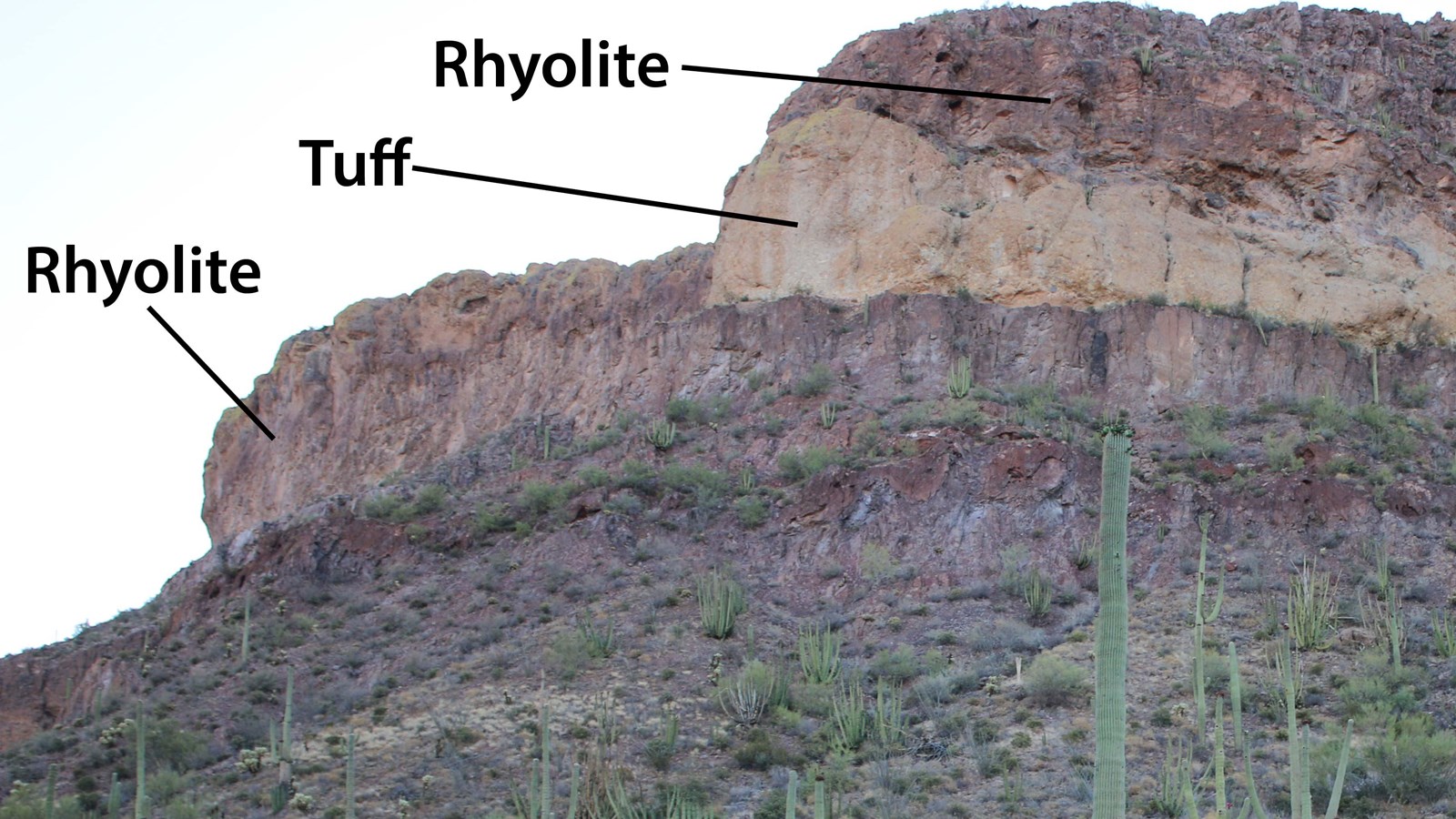 Hillside with a white layer of rock, labeled tuff, sandwiched between red colored rhyolite rock.