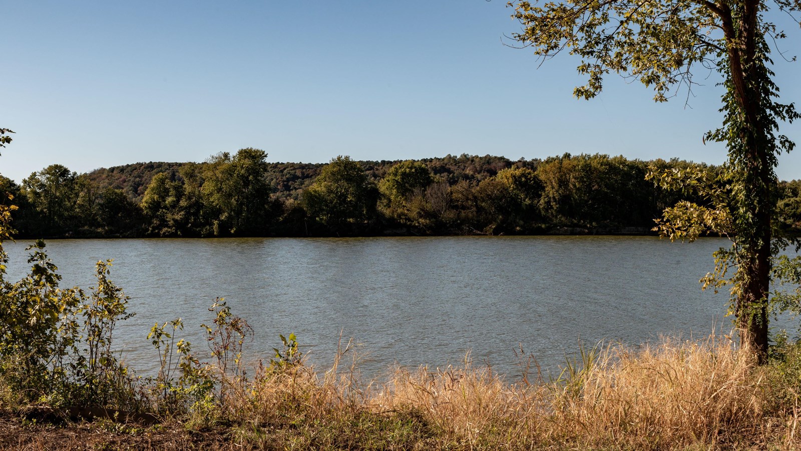 An expansive scenic view of a river with heavily forested banks.