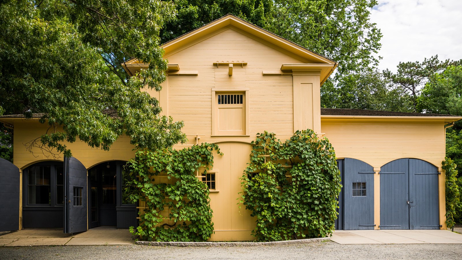 Yellow building with tall center section, four sets of double doors and green vines growing on front