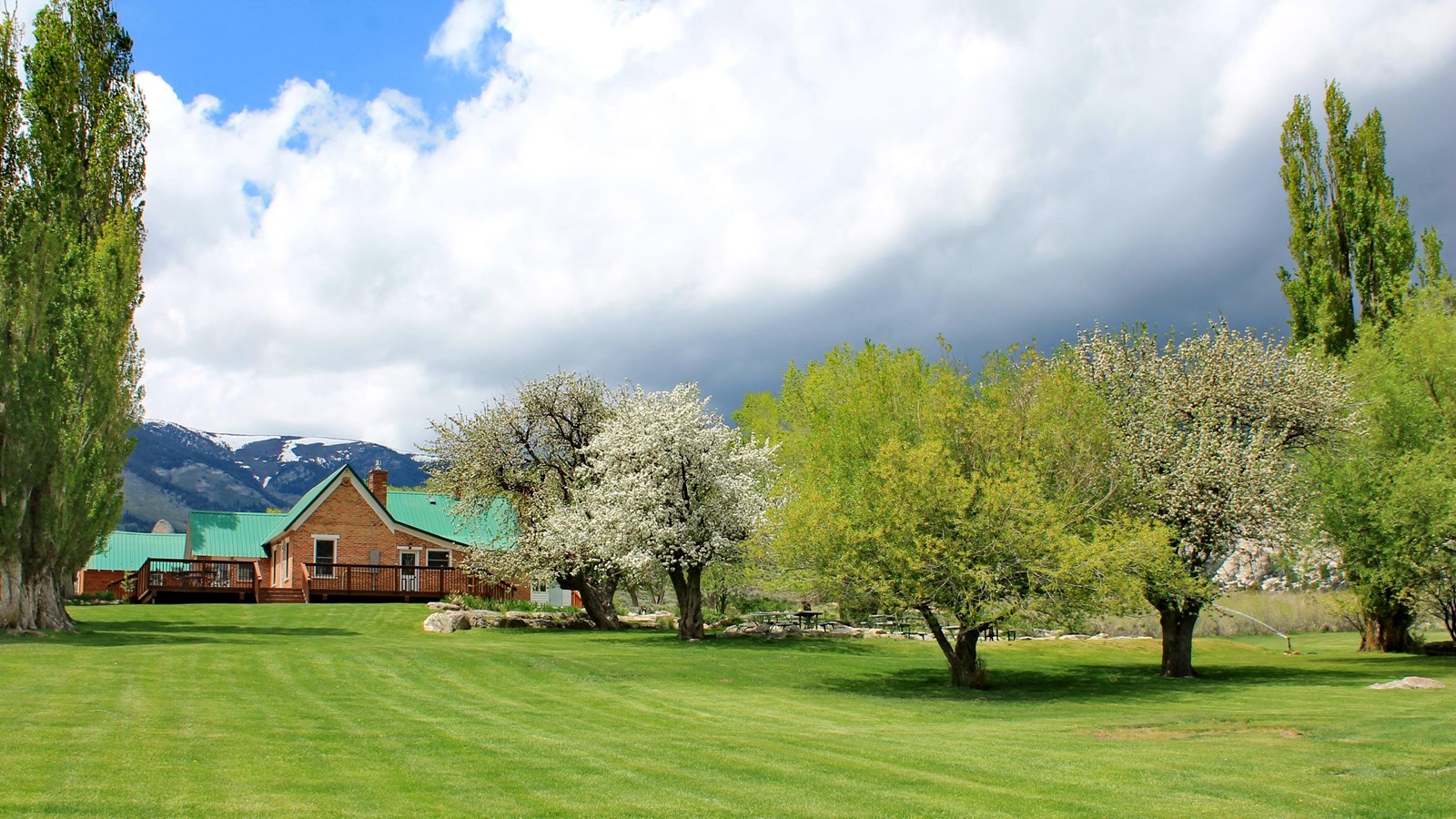 Lush green lawn, tall poplar trees and flowering fruit trees, Castle Rocks Lodge in the back.