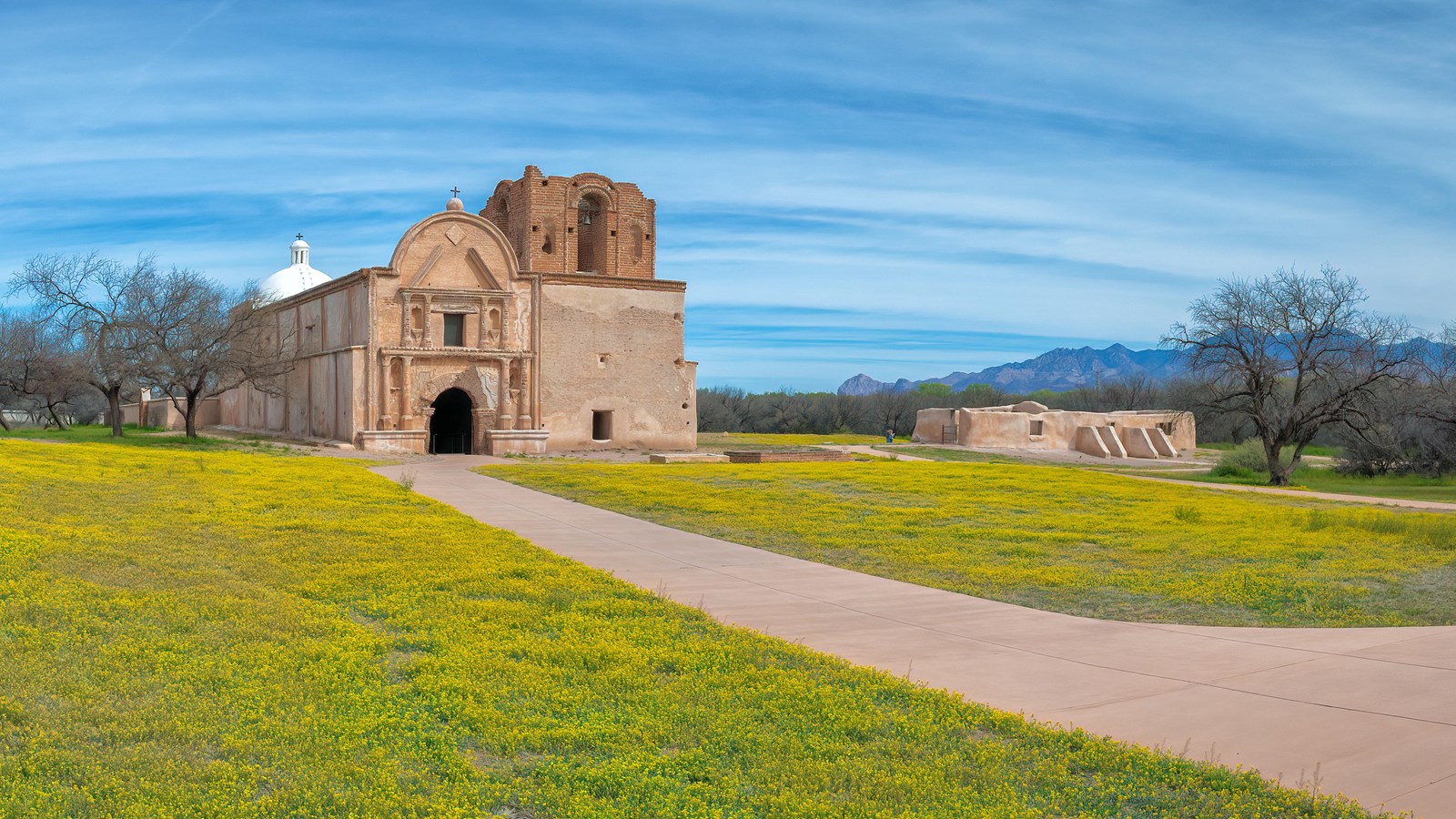 sidewalk leading to church with yellow flowers on pale green vegetation