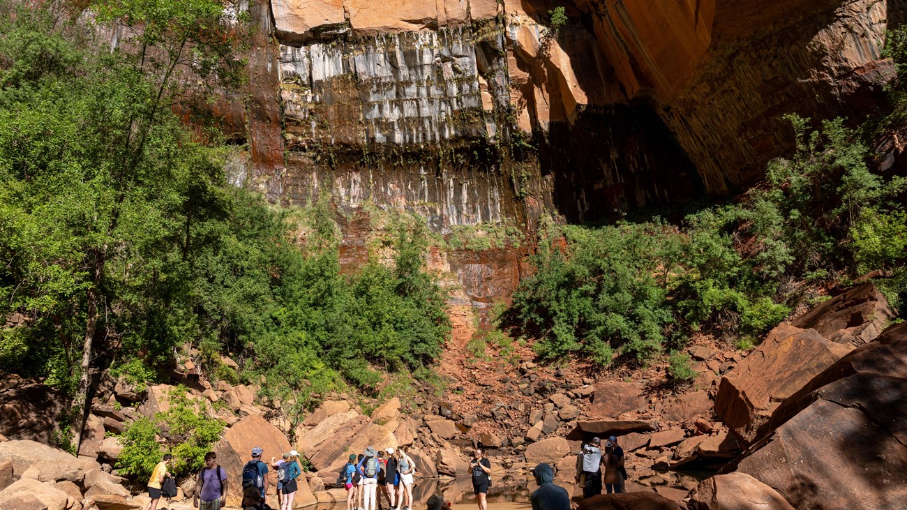 A large group of people near a pool of water with green trees and an orange sandstone cliff face