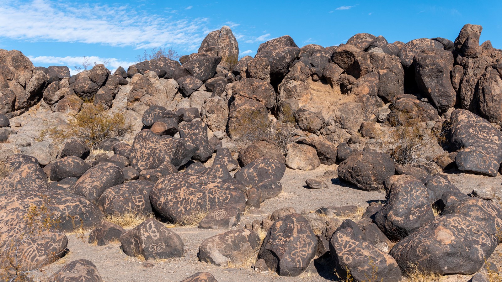 A group of boulders have pictures carved into them in the desert