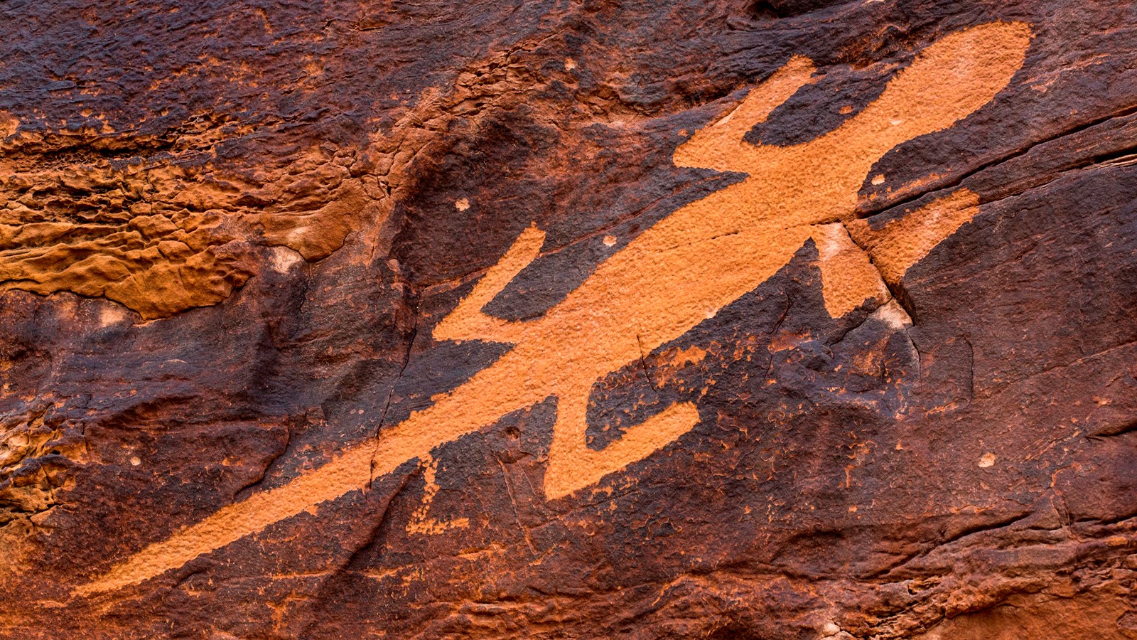 A large rock carving in the shape of a lizard.